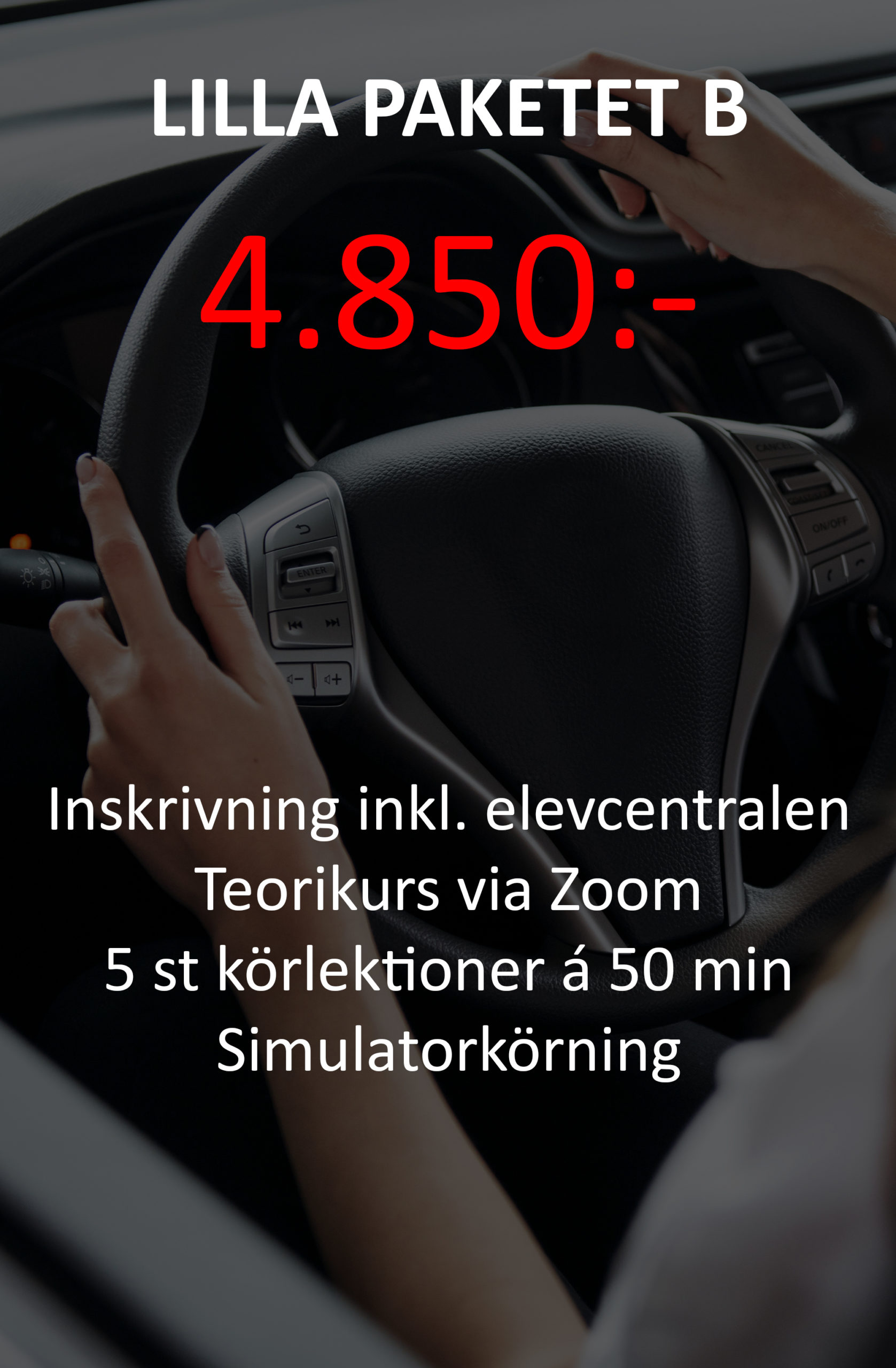 Portrait of a young beautiful woman. Female driving car